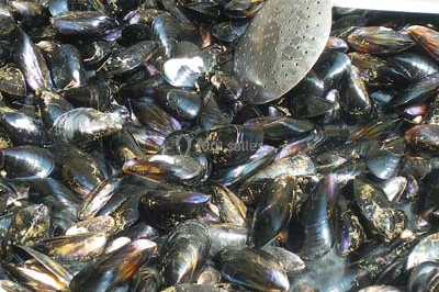 Traiteur Saint-Jean-de-Védas (Hérault) - Traiteur des Garrigues #21