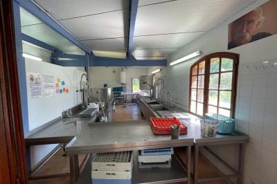 Jardin verdoyant avec des palmiers, des pins et des buissons sous un ciel ensoleillé, décoré de dessins orange.