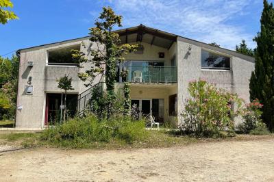 Jardin verdoyant avec des palmiers, des pins et des buissons sous un ciel ensoleillé, décoré de dessins orange.
