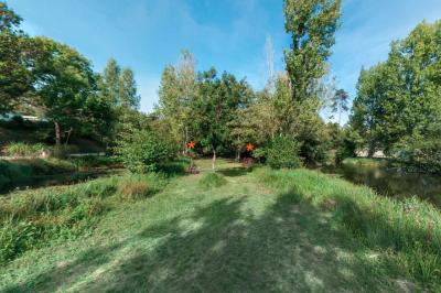 Jardin verdoyant avec des palmiers, des pins et des buissons sous un ciel ensoleillé, décoré de dessins orange.