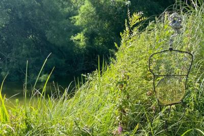 Jardin verdoyant avec des palmiers, des pins et des buissons sous un ciel ensoleillé, décoré de dessins orange.