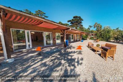 Jardin verdoyant avec des palmiers, des pins et des buissons sous un ciel ensoleillé, décoré de dessins orange.
