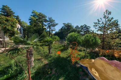 Jardin verdoyant avec des palmiers, des pins et des buissons sous un ciel ensoleillé, décoré de dessins orange.