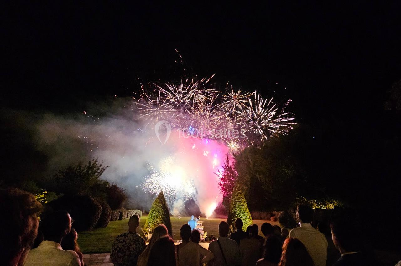 Un groupe de personnes regarde un feu d'artifice coloré illuminant un jardin la nuit.