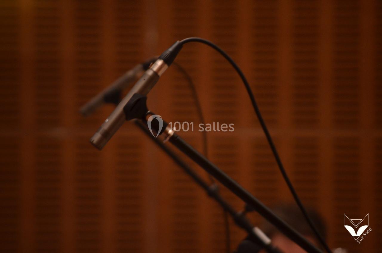 Deux microphones sur pieds devant un mur en bois perforé, capturant probablement du son.