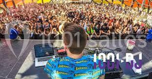 Un DJ mixe sur scène face à une foule dense lors d'un festival en plein air.