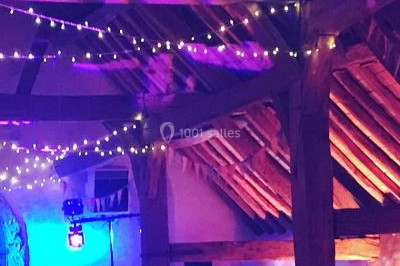 Une femme en robe blanche joue de la harpe dans une salle décorée avec des plantes et des lumières.