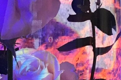 Une femme en robe blanche joue de la harpe dans une salle décorée avec des plantes et des lumières.