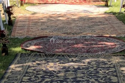 Une femme en robe blanche joue de la harpe dans une salle décorée avec des plantes et des lumières.