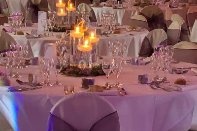 Une femme en robe blanche joue de la harpe dans une salle décorée avec des plantes et des lumières.