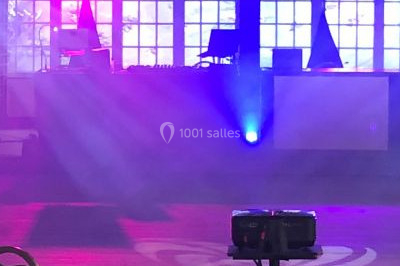 Une femme en robe blanche joue de la harpe dans une salle décorée avec des plantes et des lumières.