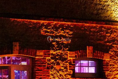 Une femme en robe blanche joue de la harpe dans une salle décorée avec des plantes et des lumières.