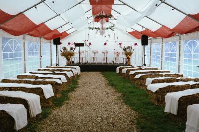 Une femme en robe blanche joue de la harpe dans une salle décorée avec des plantes et des lumières.