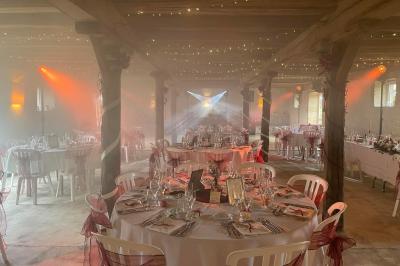 Une femme en robe blanche joue de la harpe dans une salle décorée avec des plantes et des lumières.