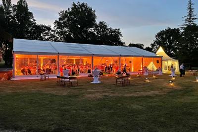 Une femme en robe blanche joue de la harpe dans une salle décorée avec des plantes et des lumières.