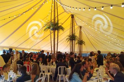 Une femme en robe blanche joue de la harpe dans une salle décorée avec des plantes et des lumières.