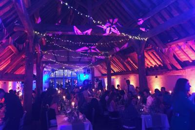 Une femme en robe blanche joue de la harpe dans une salle décorée avec des plantes et des lumières.