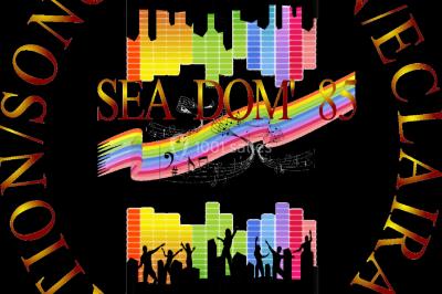 SEADom'85 - Sonorisation Eclairage et Animation - photo 1
