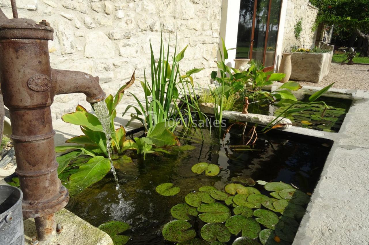 Fontaine ancienne en métal avec bassin rempli de nénuphars et plantes aquatiques, adossé à un mur en pierre.