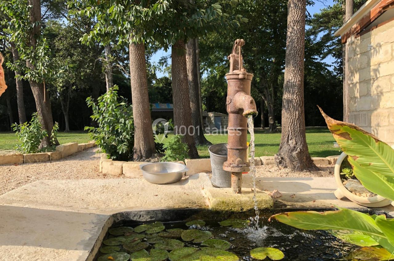 Pompe à eau ancienne en métal, entourée de végétation, avec un bassin couvert de nénuphars au premier plan.