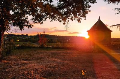 Rangées de tonneaux en bois alignés dans une cave sombre.