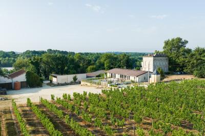 Rangées de tonneaux en bois alignés dans une cave sombre.
