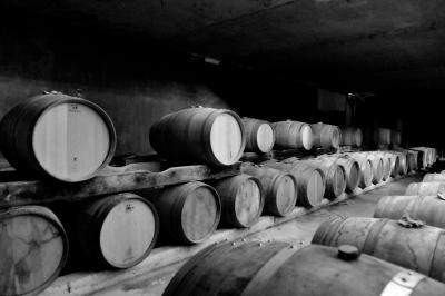 Rangées de tonneaux en bois alignés dans une cave sombre.