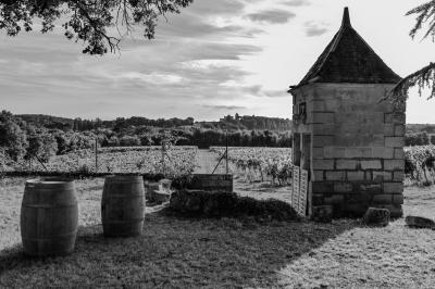 Rangées de tonneaux en bois alignés dans une cave sombre.