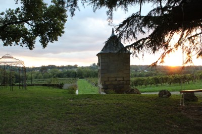 Rangées de tonneaux en bois alignés dans une cave sombre.