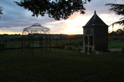 Rangées de tonneaux en bois alignés dans une cave sombre.