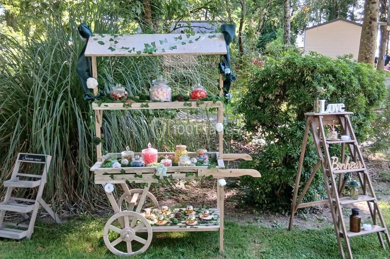 Chariot en bois décoré avec des plantes et des bocaux de bonbons, installé dans un jardin verdoyant.
