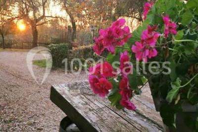 Salle de réception décorée avec des tables dressées, nappes blanches, chaises ajourées et compositions florales.