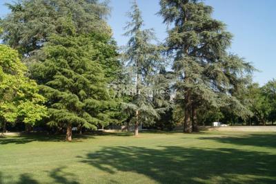 Des projecteurs diffusent des faisceaux lumineux dans une pièce sombre, créant un effet de lumière dramatique.