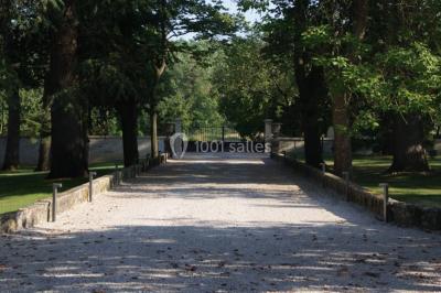 Des projecteurs diffusent des faisceaux lumineux dans une pièce sombre, créant un effet de lumière dramatique.
