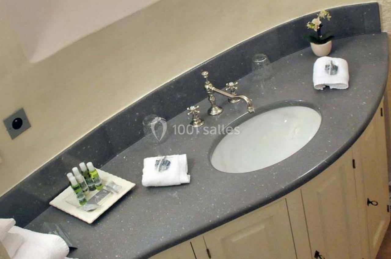 Location salle Saint-Saturnin (Puy-de-Dôme) - Château Royal De Saint-saturnin #13