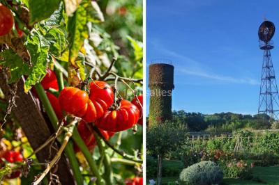 Un stand culinaire en plein air avec des chefs préparant des plats, entouré de fleurs et d'une structure en bois.