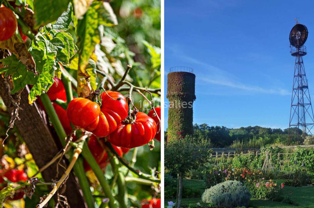 À gauche, des tomates rouges mûres sur des plants; à droite, un jardin avec une tour et une structure métallique sous un…