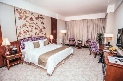Location salle Tbilissi (Vake-Saburtalo) - Hotels & Preference Hualing Tbilisi #25