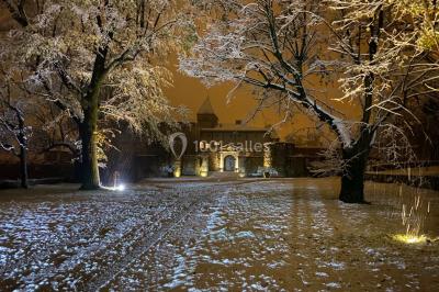 Miniature Location salle Millery (Rhône) - Château La Gallée #14 Location salle Millery (Rhône) - Château La Gallée #18