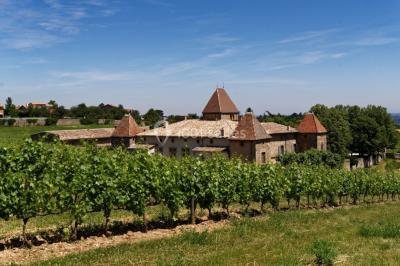 Miniature Location salle Millery (Rhône) - Château La Gallée #15 Location salle Millery (Rhône) - Château La Gallée #18