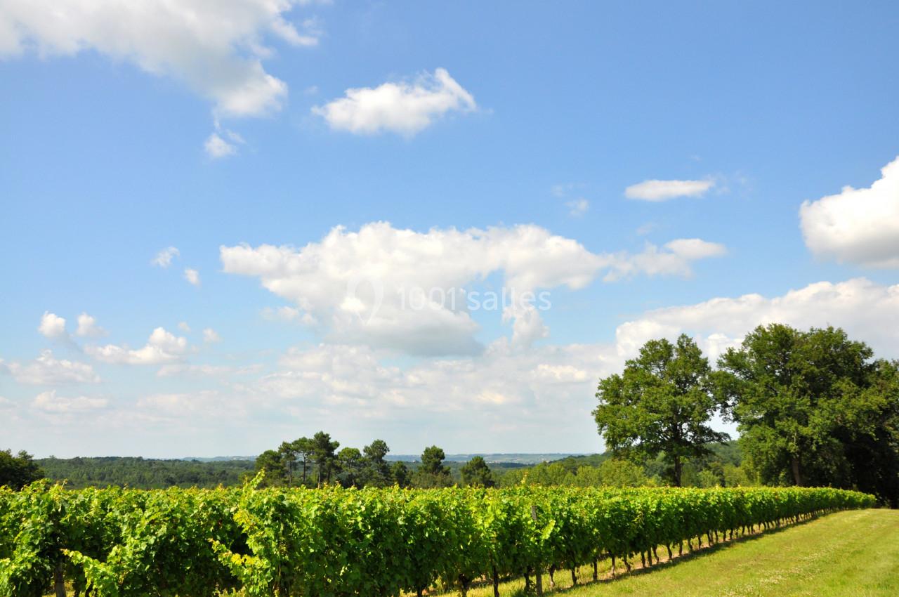 Location salle Mazères (Gironde) - Chateau Caillivet #17