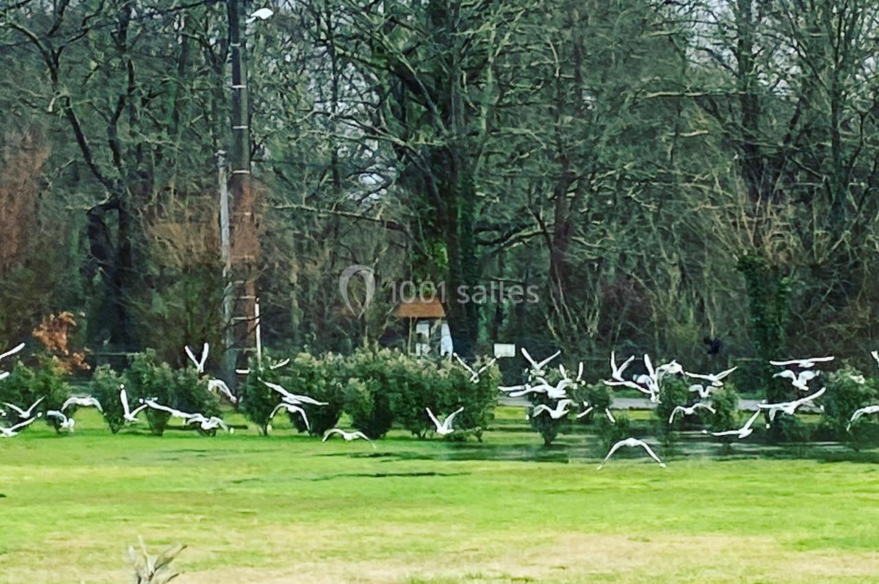 Location salle Arès (Gironde) - Domaine d'Arès #21