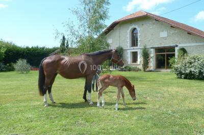 Location salle Arès (Gironde) - Domaine d'Arès #35