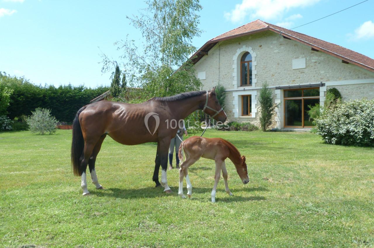 Location salle Arès (Gironde) - Domaine d'Arès #20