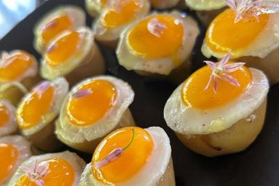 Assortiment de bouchées gastronomiques sur une planche en bois, incluant tartes aux légumes et poissons garnis.