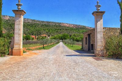 Salle de réception lumineuse avec murs en pierre, tables décorées de fleurs colorées et chandeliers suspendus.