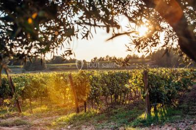 Domaine de la Galinière Domaine de la Galinière