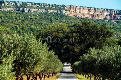 Escalier intérieur en pierre avec éclairage mural mettant en valeur des illustrations de paysages.