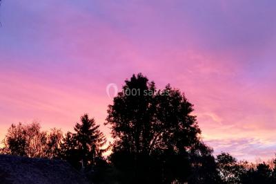 Canapé doré avec assise blanche devant un décor floral et un rideau blanc, éclairé par des appliques murales.
