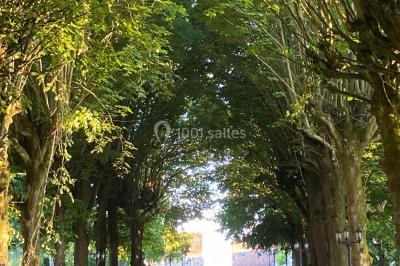 Canapé doré avec assise blanche devant un décor floral et un rideau blanc, éclairé par des appliques murales.
